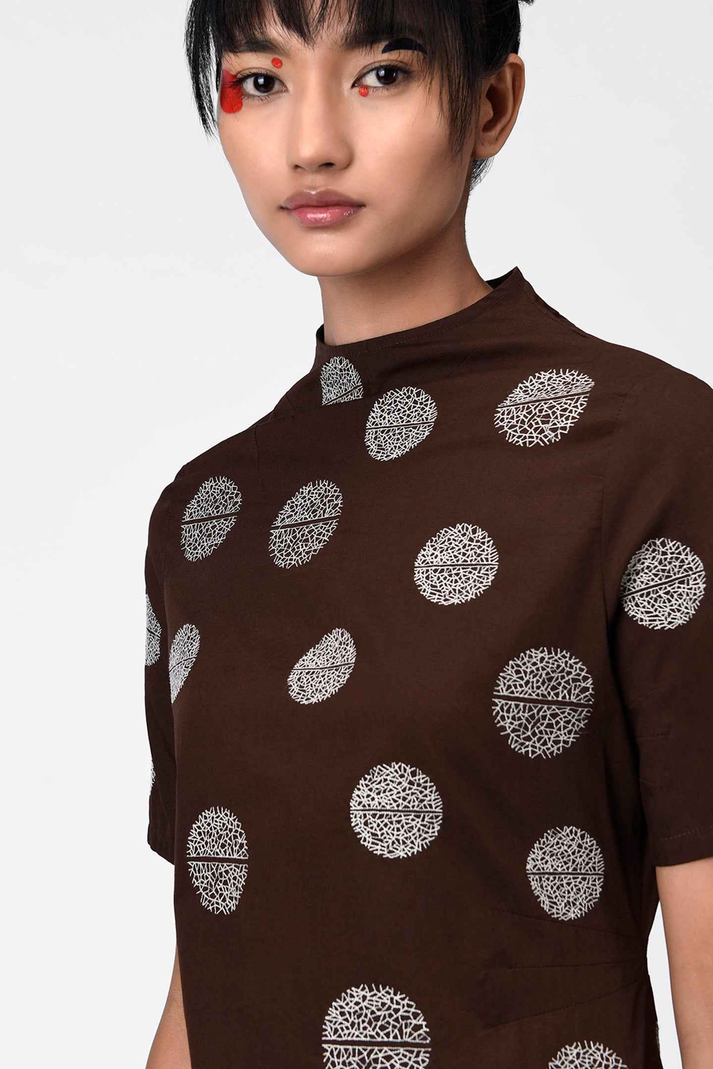 Umber Brown High Neck Embroidered Dress